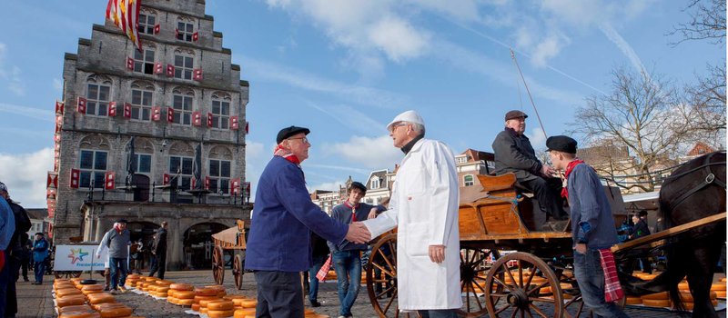 Chicken road demo, chicken road game