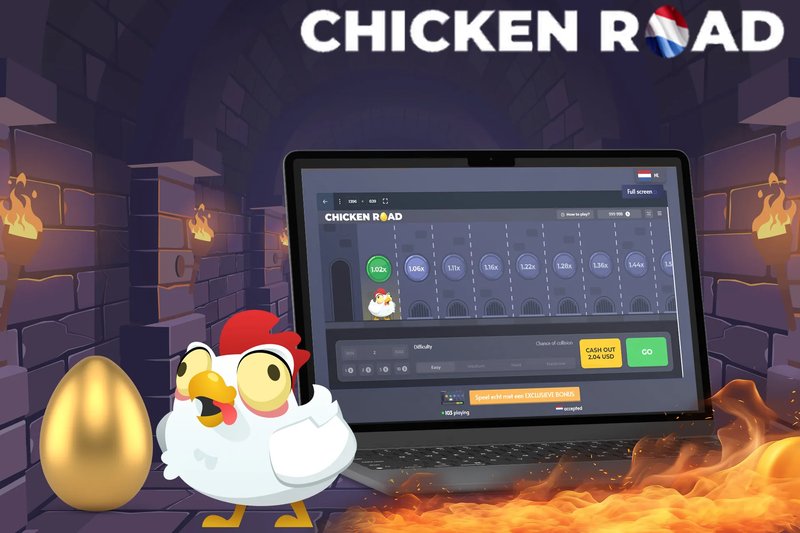 Learn about chicken road demo